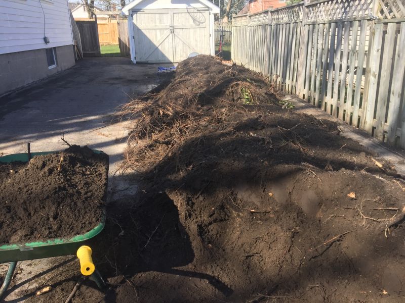Backyard Earthwork